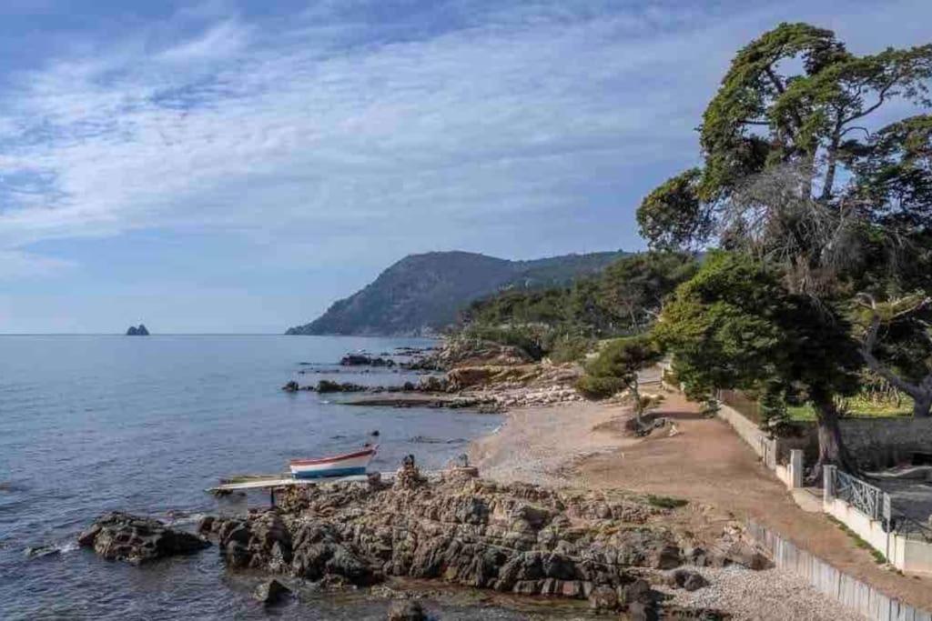 Le Criotto Apartment La Seyne-sur-Mer Luaran gambar